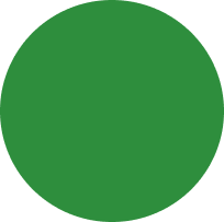 Solid green circle on a white background.
